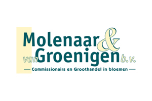 Molenaar & Van Groenigen