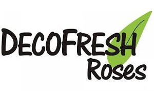 DecoFresh Roses